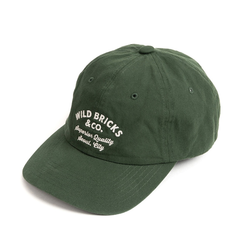 와일드브릭스CT CLASSIC LOGO CAP (green)